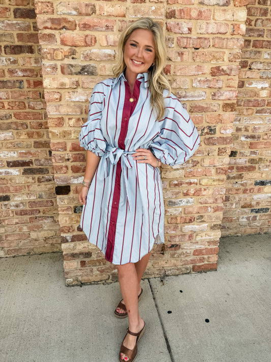 Sage midi shirt dress O/S