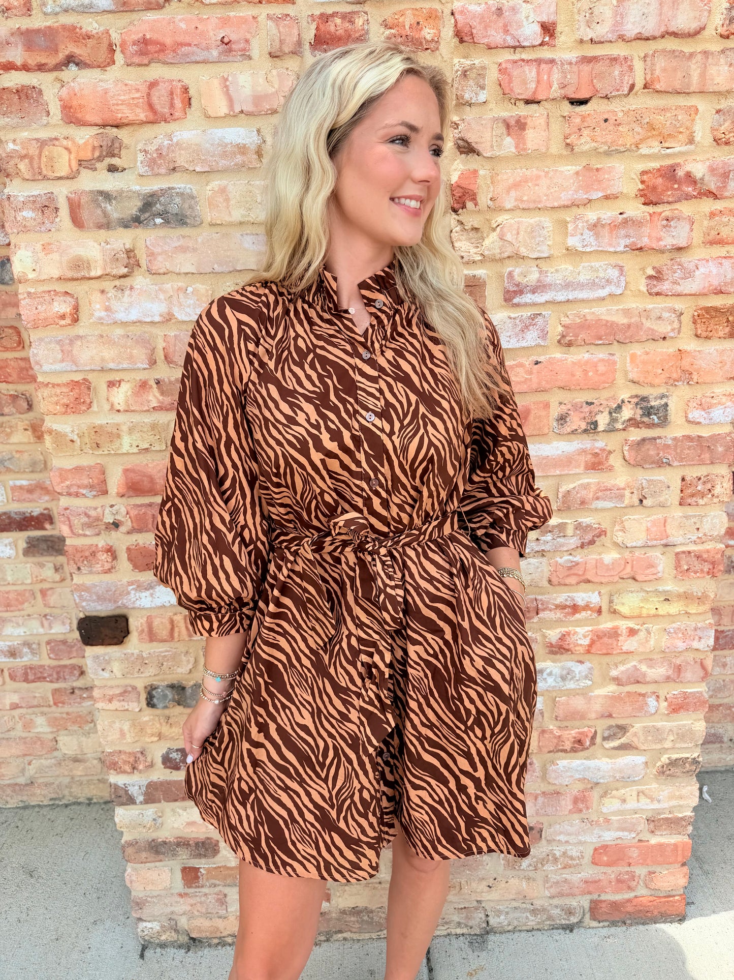 niki zebra belted dress