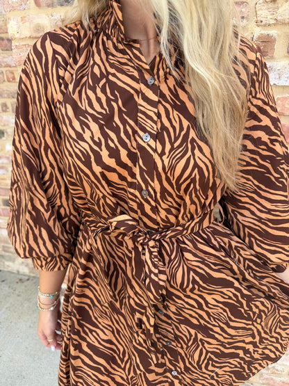 niki zebra belted dress